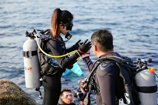 Travel in Taiwan  Longdong Scuba Diving - onethingoneweek