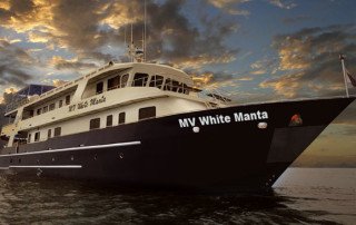 MV White Manta Live-aboard, Similan, Andaman Sea, Thailand