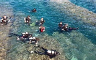 Bat Cave / BianFuDong dive site